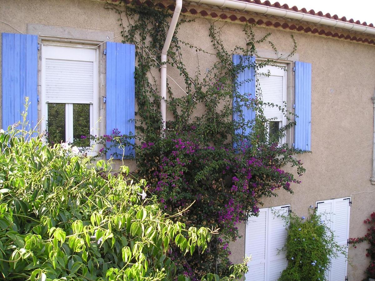 Gite Papy Albert Gruissan Exterior photo